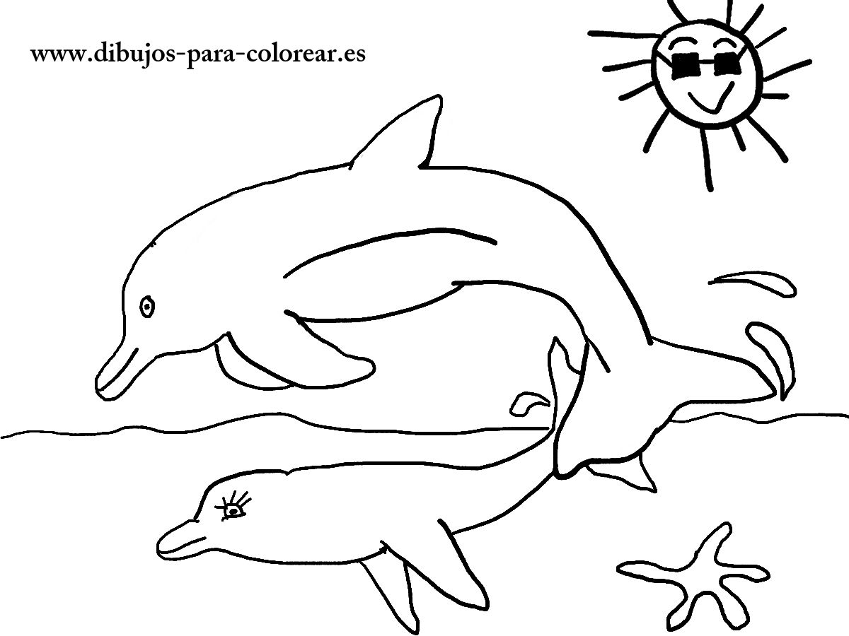 Dibujos para colorear - delfin